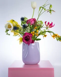 Joao Vase L Lila Rosa^Motel a Miio Hot