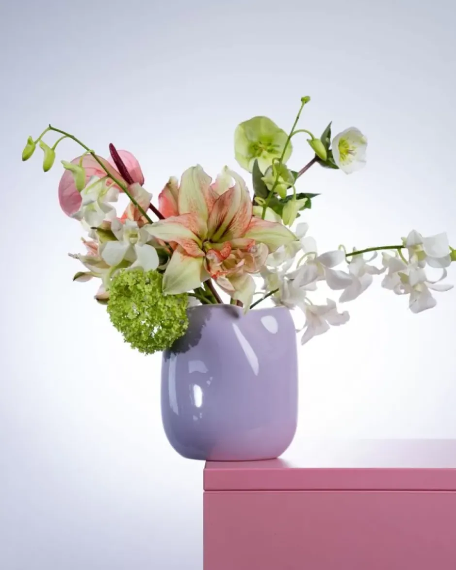 Joao Vase M Lila Rosa^Motel a Miio Online