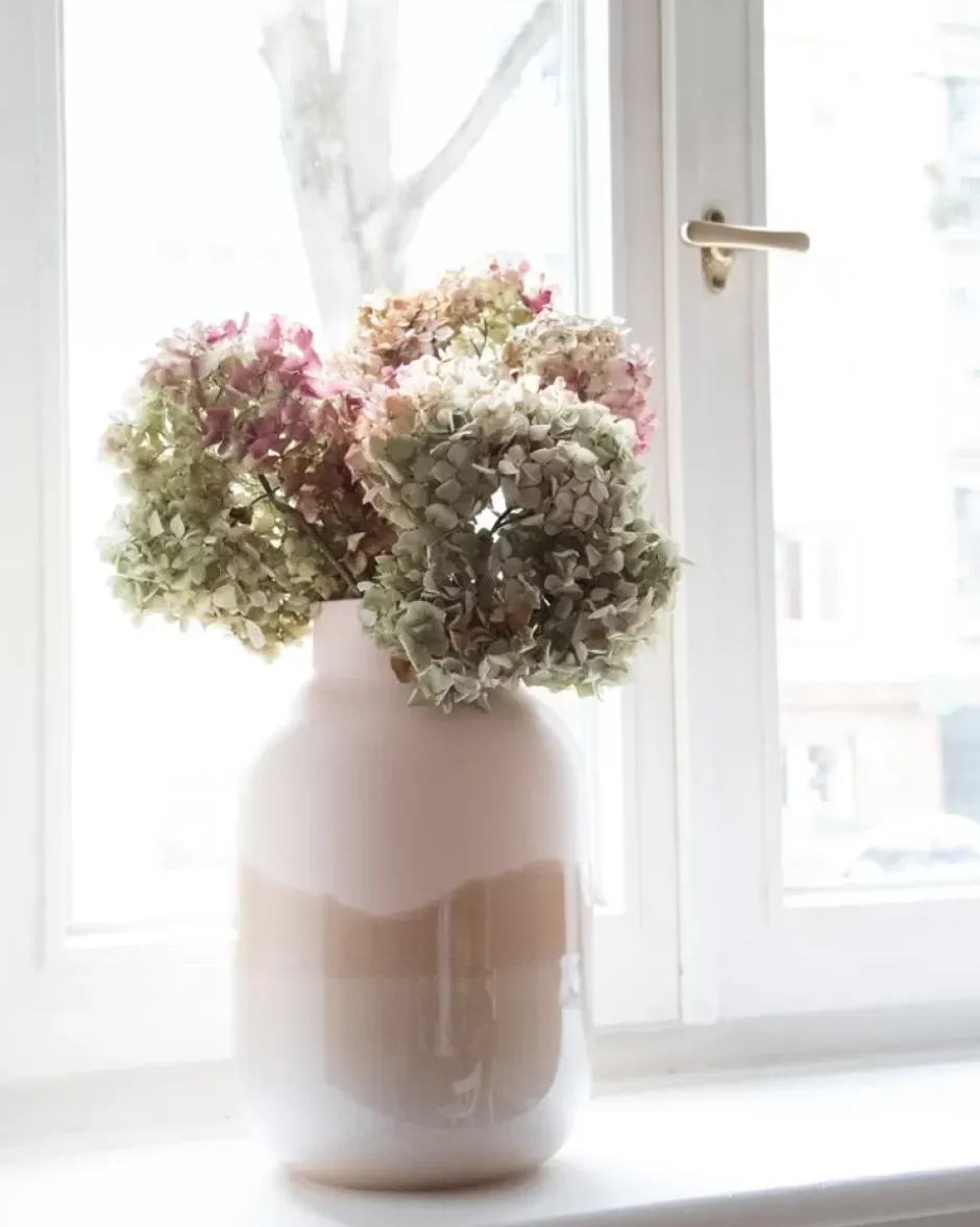 Nuno Vase L Sand^Motel a Miio Discount